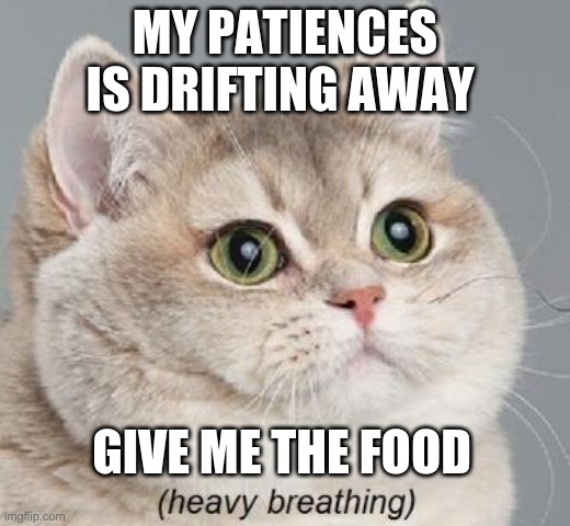 Heavy Breathing Cat | MY PATIENCES IS DRIFTING AWAY; GIVE ME THE FOOD | image tagged in memes,heavy breathing cat | made w/ Imgflip meme maker