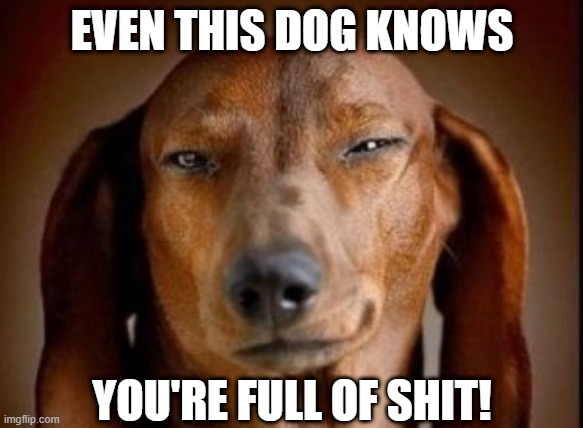 Skeptical Mutt | EVEN THIS DOG KNOWS; YOU'RE FULL OF SHIT! | image tagged in funny dog | made w/ Imgflip meme maker