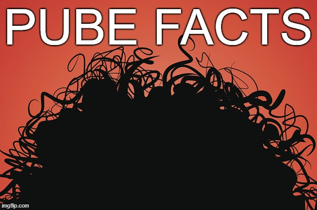 pube facts | image tagged in pube facts | made w/ Imgflip meme maker
