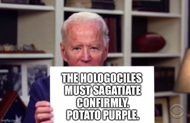 Biden holding sign | THE HOLOGOCILES 
MUST SAGATIATE
CONFIRMLY.
POTATO PURPLE. | image tagged in biden holding sign blank | made w/ Imgflip meme maker