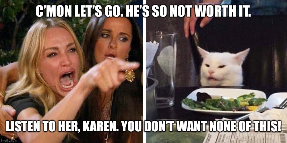 Smudge the cat | C’MON LET’S GO. HE’S SO NOT WORTH IT. LISTEN TO HER, KAREN. YOU DON’T WANT NONE OF THIS! | image tagged in smudge the cat | made w/ Imgflip meme maker