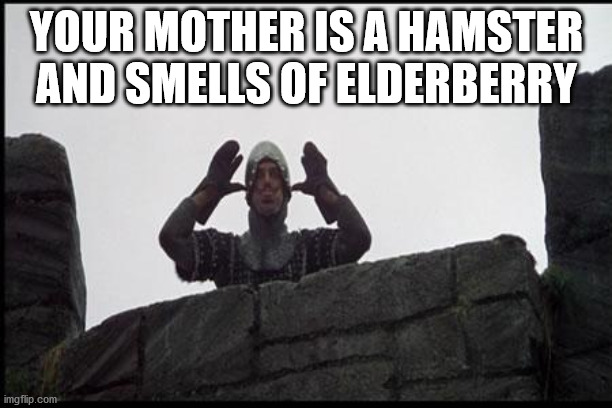 French Taunting in Monty Python's Holy Grail | YOUR MOTHER IS A HAMSTER AND SMELLS OF ELDERBERRY | image tagged in french taunting in monty python's holy grail | made w/ Imgflip meme maker