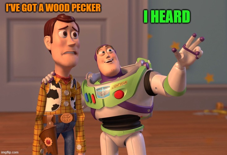 X, X Everywhere Meme | I'VE GOT A WOOD PECKER I HEARD | image tagged in memes,x x everywhere | made w/ Imgflip meme maker