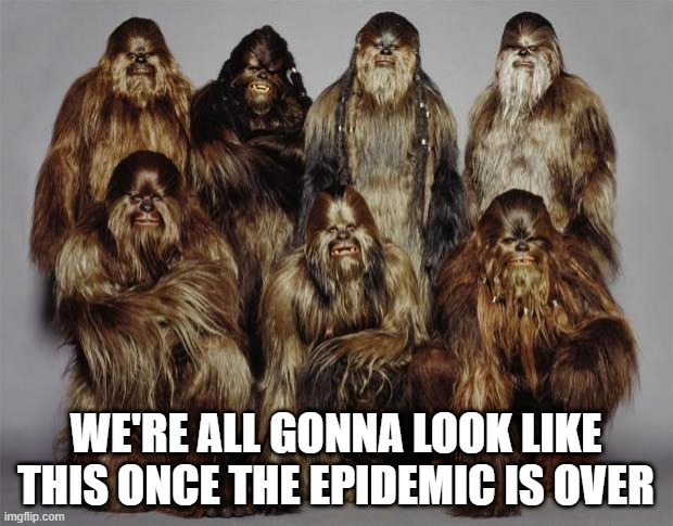 No Hair Cuts | WE'RE ALL GONNA LOOK LIKE THIS ONCE THE EPIDEMIC IS OVER | image tagged in wookies star wars forest world problems,coronavirus | made w/ Imgflip meme maker