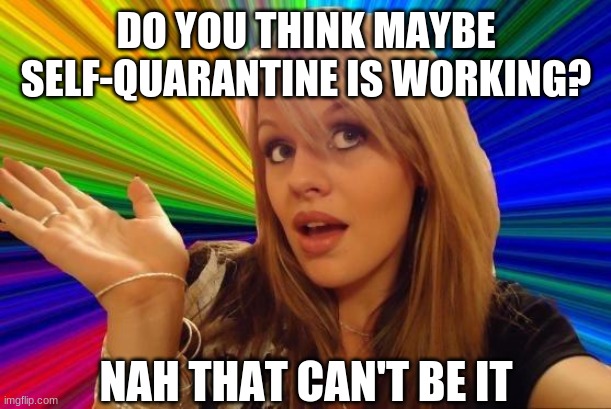 Dumb Blonde Meme | DO YOU THINK MAYBE SELF-QUARANTINE IS WORKING? NAH THAT CAN'T BE IT | image tagged in memes,dumb blonde | made w/ Imgflip meme maker