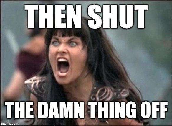 Angry Xena | THEN SHUT THE DAMN THING OFF | image tagged in angry xena | made w/ Imgflip meme maker
