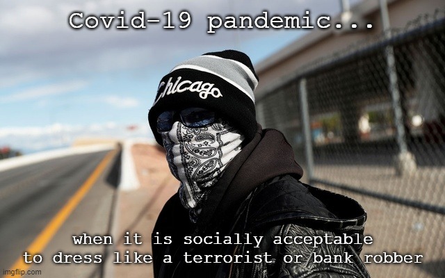 survive the pandemic | Covid-19 pandemic... when it is socially acceptable to dress like a terrorist or bank robber | image tagged in masks,pandemic,covid-19,bandanna | made w/ Imgflip meme maker