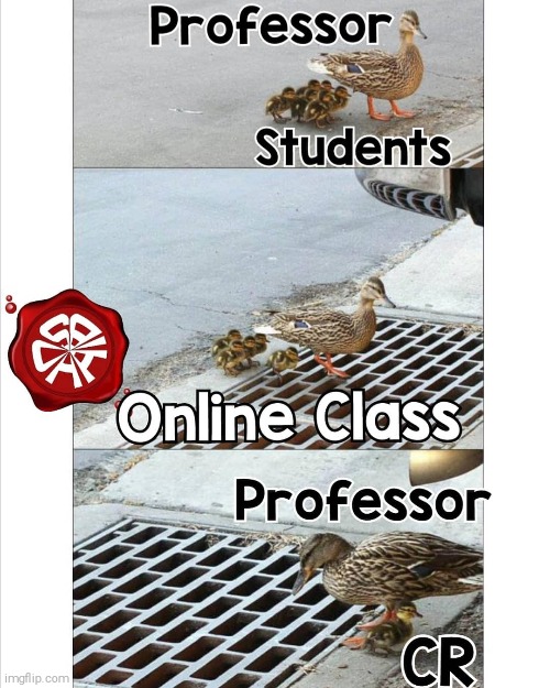 Online Classes | image tagged in online,class,funny,memes,professor | made w/ Imgflip meme maker