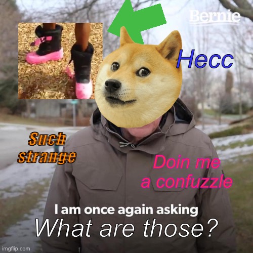 WHAT ARE THOSE? (No, really, doge would like to know) | Hecc; Such strange; Doin me a confuzzle; What are those? | image tagged in memes,bernie i am once again asking for your support | made w/ Imgflip meme maker