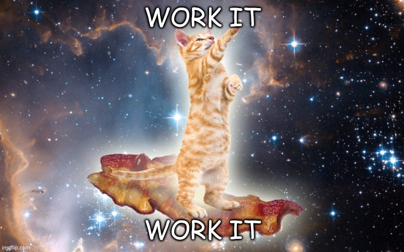 yoga cat | WORK IT; WORK IT | image tagged in kevin bacon | made w/ Imgflip meme maker