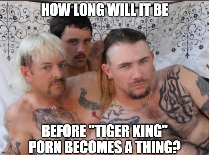 Keep Your Eye on PornHub | HOW LONG WILL IT BE; BEFORE "TIGER KING" PORN BECOMES A THING? | image tagged in tiger king and cubs | made w/ Imgflip meme maker