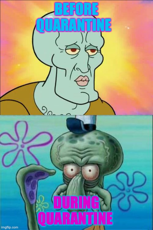 Squidward | BEFORE QUARANTINE; DURING QUARANTINE | image tagged in memes,squidward | made w/ Imgflip meme maker