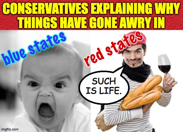 With apologies to the French. | CONSERVATIVES EXPLAINING WHY
THINGS HAVE GONE AWRY IN; red states; blue states; SUCH IS LIFE. | image tagged in memes,angry baby,scumbag french,conservatives | made w/ Imgflip meme maker