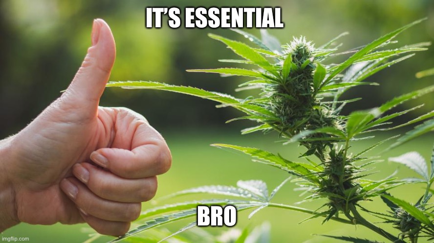It’s essential | IT’S ESSENTIAL; BRO | image tagged in marijuana | made w/ Imgflip meme maker