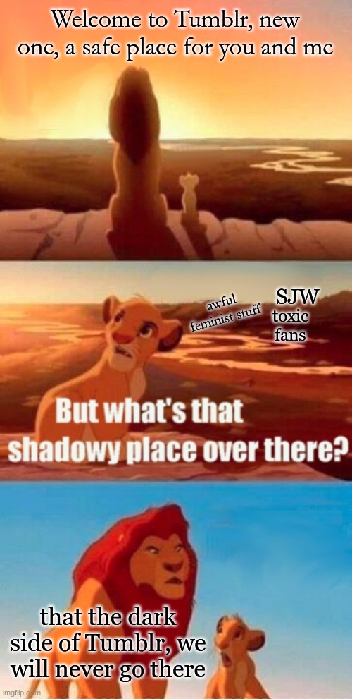 :) | Welcome to Tumblr, new one, a safe place for you and me; SJW; awful feminist stuff; toxic fans; that the dark side of Tumblr, we will never go there | image tagged in memes,simba shadowy place | made w/ Imgflip meme maker