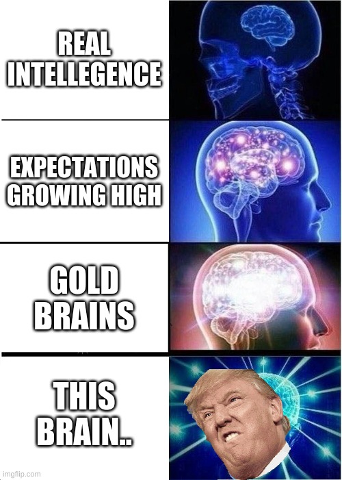 Expanding Brain | REAL INTELLEGENCE; EXPECTATIONS GROWING HIGH; GOLD BRAINS; THIS BRAIN.. | image tagged in memes,expanding brain | made w/ Imgflip meme maker