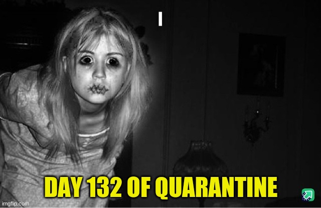 Day 132 | DAY 132 OF QUARANTINE | image tagged in quarantine,paranormal stuff,what am i looking at,full house | made w/ Imgflip meme maker