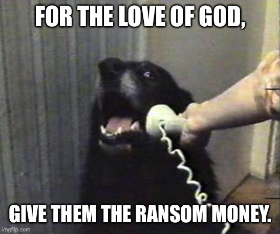 Yes this is dog | FOR THE LOVE OF GOD, GIVE THEM THE RANSOM MONEY. | image tagged in yes this is dog | made w/ Imgflip meme maker