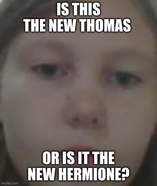A random face | IS THIS THE NEW THOMAS; OR IS IT THE NEW HERMIONE? | image tagged in harry potter | made w/ Imgflip meme maker