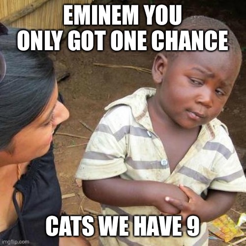 Third World Skeptical Kid | EMINEM YOU ONLY GOT ONE CHANCE; CATS WE HAVE 9 | image tagged in memes,third world skeptical kid | made w/ Imgflip meme maker