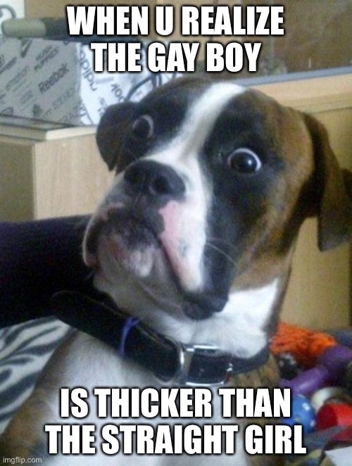 Suprised Boxer | WHEN U REALIZE THE GAY BOY; IS THICKER THAN THE STRAIGHT GIRL | image tagged in suprised boxer | made w/ Imgflip meme maker
