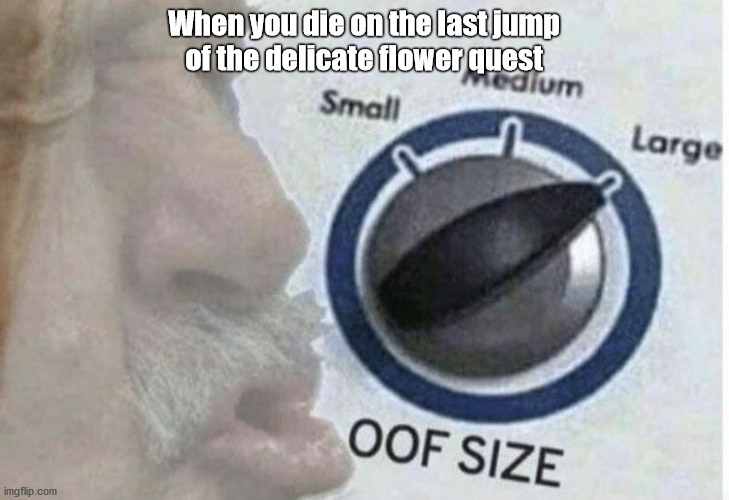 Oof size large | When you die on the last jump
of the delicate flower quest | image tagged in oof size large | made w/ Imgflip meme maker