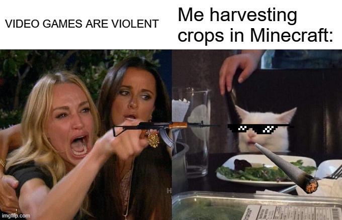 yup. | VIDEO GAMES ARE VIOLENT; Me harvesting crops in Minecraft: | image tagged in memes,woman yelling at cat | made w/ Imgflip meme maker