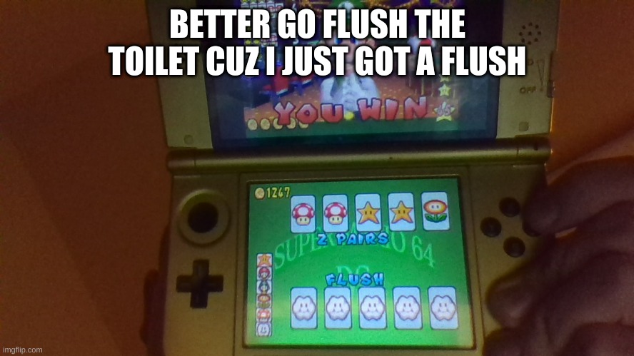 Everytime you get a flush, you gotta go Flush the toilet | BETTER GO FLUSH THE TOILET CUZ I JUST GOT A FLUSH | image tagged in toilet,flush,luigi,mario,64,ds | made w/ Imgflip meme maker