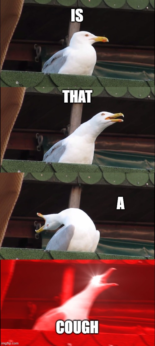 Inhaling Seagull Meme | IS; THAT; A; COUGH | image tagged in memes,inhaling seagull | made w/ Imgflip meme maker