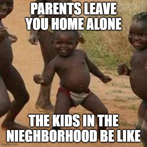 Third World Success Kid Meme | PARENTS LEAVE YOU HOME ALONE; THE KIDS IN THE NIEGHBORHOOD BE LIKE | image tagged in memes,third world success kid | made w/ Imgflip meme maker