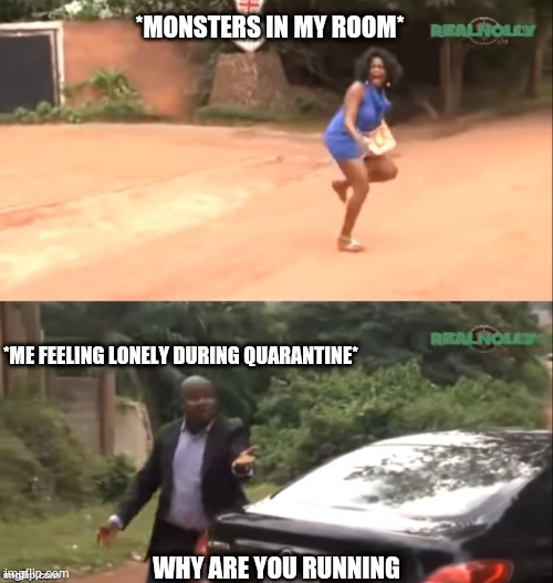 Why are you running | *MONSTERS IN MY ROOM*; *ME FEELING LONELY DURING QUARANTINE*; WHY ARE YOU RUNNING | image tagged in why are you running | made w/ Imgflip meme maker