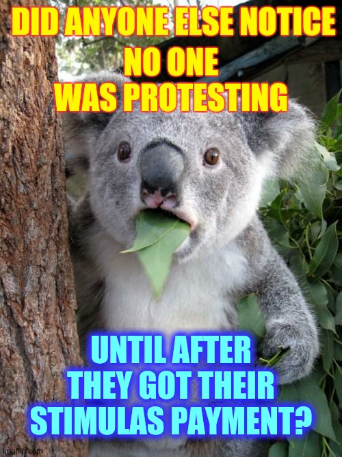 The, "I've Got Money Burning A Hole And No Where To Go" Protest | NO ONE WAS PROTESTING; DID ANYONE ELSE NOTICE; UNTIL AFTER THEY GOT THEIR STIMULAS PAYMENT? | image tagged in memes,surprised koala,protesters,covid-19,coronavirus,protests | made w/ Imgflip meme maker