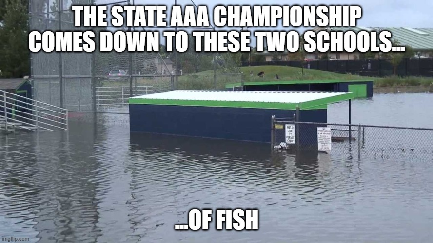 Baseball Field Underwater | THE STATE AAA CHAMPIONSHIP COMES DOWN TO THESE TWO SCHOOLS... ...OF FISH | image tagged in baseball field underwater,spring sports,memes,fish | made w/ Imgflip meme maker