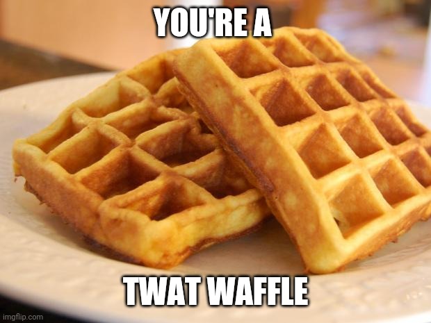 Essay Waffle | YOU'RE A TWAT WAFFLE | image tagged in essay waffle | made w/ Imgflip meme maker