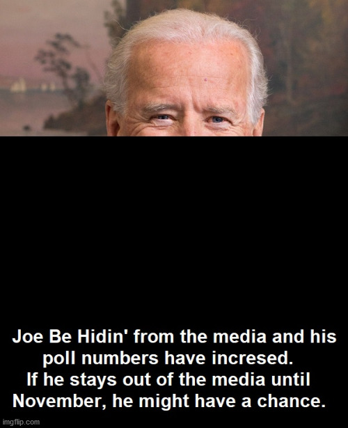 Joe Be Hidin' | CAN DEMOCRATS SUCCESSFULLY DRAGBIDEN’S NEARLY BRAIN DEAD CARCASSACROSS THE FINISH LINE NOVEMBER 3, 2020 | image tagged in joe biden,democrats,political meme,memes | made w/ Imgflip meme maker