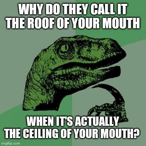 Seriously | WHY DO THEY CALL IT THE ROOF OF YOUR MOUTH; WHEN IT'S ACTUALLY THE CEILING OF YOUR MOUTH? | image tagged in memes,philosoraptor | made w/ Imgflip meme maker