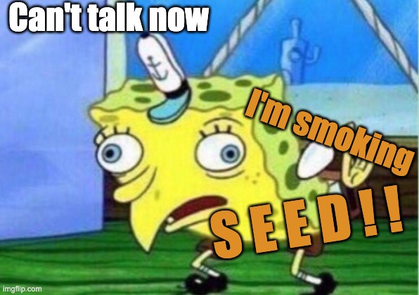 im smoking seed | Can't talk now; I'm smoking; S E E D ! ! | image tagged in memes,mocking spongebob | made w/ Imgflip meme maker