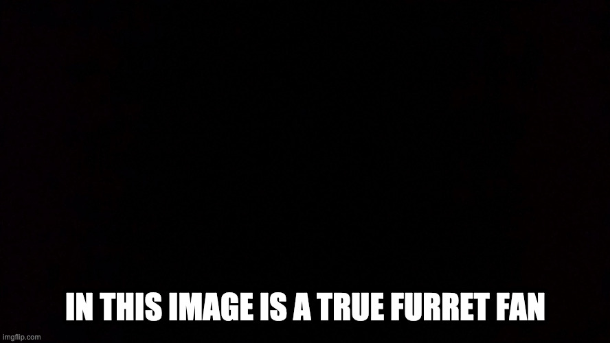 look in this image | IN THIS IMAGE IS A TRUE FURRET FAN | image tagged in black void of loneliness | made w/ Imgflip meme maker