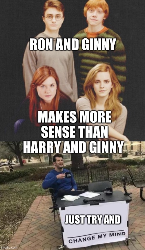 Team Harry And Hermione All The Way | RON AND GINNY; MAKES MORE SENSE THAN HARRY AND GINNY; JUST TRY AND | image tagged in memes,harry potter,funny,harry potter and hermione,hermione,screw ron | made w/ Imgflip meme maker