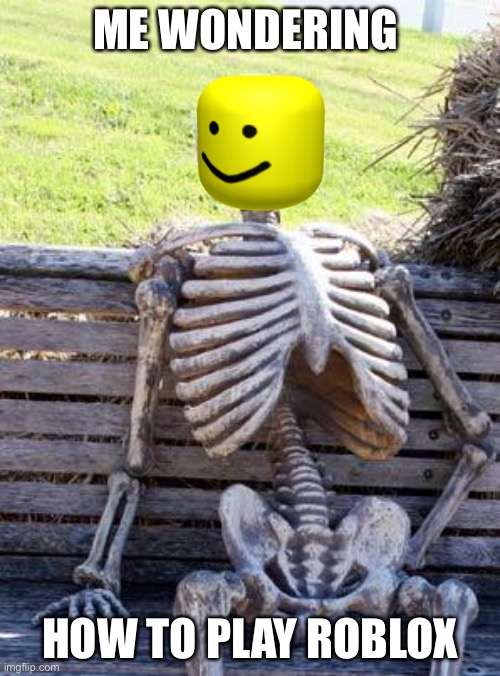 how? | ME WONDERING; HOW TO PLAY ROBLOX | image tagged in memes,waiting skeleton | made w/ Imgflip meme maker