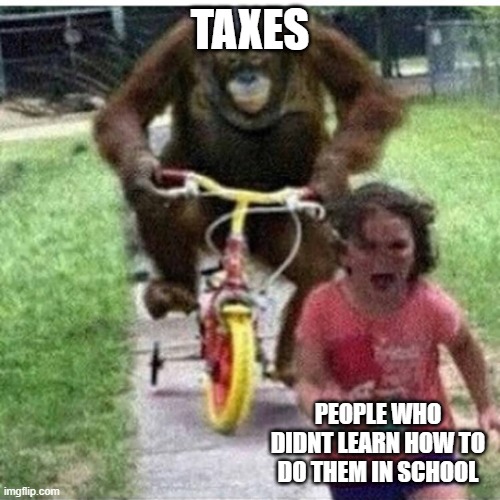 ape on bike | TAXES; PEOPLE WHO DIDNT LEARN HOW TO DO THEM IN SCHOOL | image tagged in ape on bike | made w/ Imgflip meme maker
