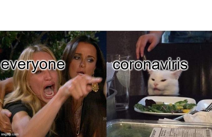 Woman Yelling At Cat | everyone; coronaviris | image tagged in memes,woman yelling at cat | made w/ Imgflip meme maker