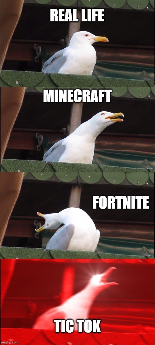 Inhaling Seagull | REAL LIFE; MINECRAFT; FORTNITE; TIC TOK | image tagged in memes,inhaling seagull | made w/ Imgflip meme maker
