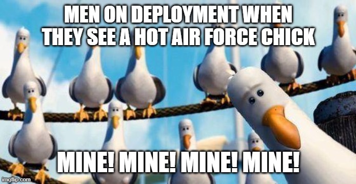 Nemo Birds | MEN ON DEPLOYMENT WHEN THEY SEE A HOT AIR FORCE CHICK; MINE! MINE! MINE! MINE! | image tagged in nemo birds,air force,girls,military,guys | made w/ Imgflip meme maker