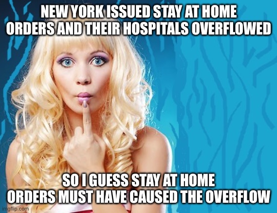 ditzy blonde | NEW YORK ISSUED STAY AT HOME ORDERS AND THEIR HOSPITALS OVERFLOWED SO I GUESS STAY AT HOME ORDERS MUST HAVE CAUSED THE OVERFLOW | image tagged in ditzy blonde | made w/ Imgflip meme maker