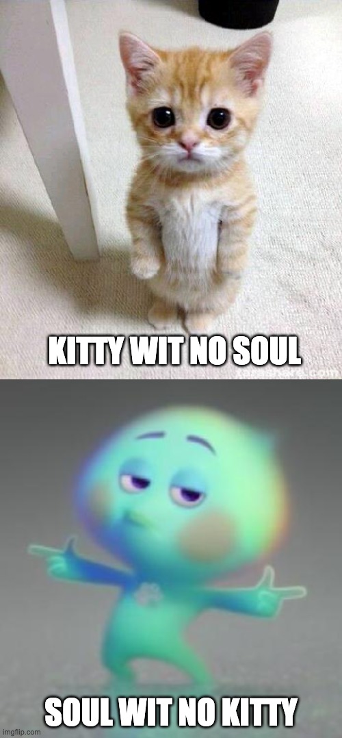 KITTY WIT NO SOUL; SOUL WIT NO KITTY | image tagged in memes,cute cat | made w/ Imgflip meme maker