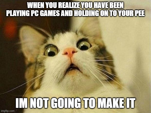 Scared Cat | WHEN YOU REALIZE YOU HAVE BEEN PLAYING PC GAMES AND HOLDING ON TO YOUR PEE; IM NOT GOING TO MAKE IT | image tagged in memes,scared cat,need to pe,poop,pcgamer,joker it's simple we kill the batman | made w/ Imgflip meme maker