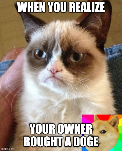 Grumpy Cat Meme | WHEN YOU REALIZE; YOUR OWNER BOUGHT A DOGE | image tagged in memes,grumpy cat | made w/ Imgflip meme maker