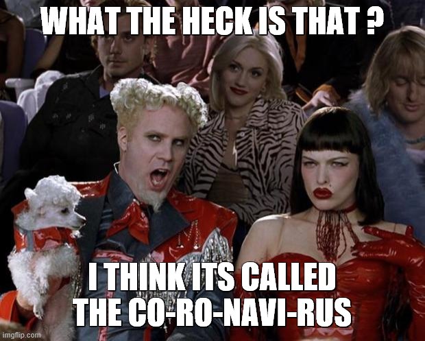 Mugatu So Hot Right Now | WHAT THE HECK IS THAT ? I THINK ITS CALLED THE CO-RO-NAVI-RUS | image tagged in memes,mugatu so hot right now | made w/ Imgflip meme maker