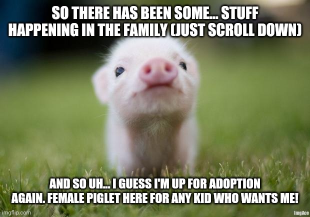 My dad and Grandpa both just left | SO THERE HAS BEEN SOME... STUFF HAPPENING IN THE FAMILY (JUST SCROLL DOWN); AND SO UH... I GUESS I'M UP FOR ADOPTION AGAIN. FEMALE PIGLET HERE FOR ANY KID WHO WANTS ME! | image tagged in piglet | made w/ Imgflip meme maker